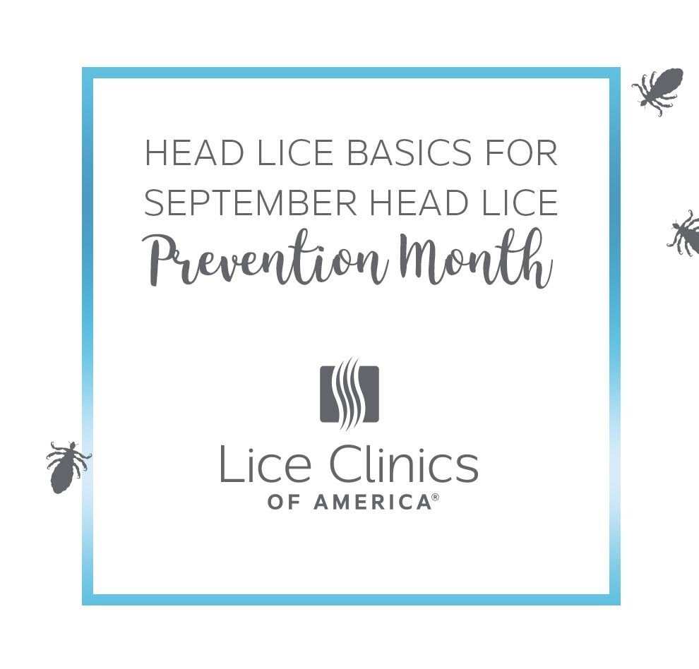 Top 8 head lice questions and answers for September head lice prevention month at Lice Clinics of America - Portland